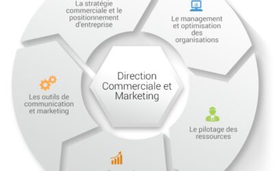 Directeur commercial et marketing : un pivot essentiel dans l’ère numérique et relationnelle